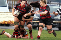 628155959_1637360387270161_4652531549313043443_n