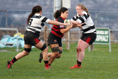 630000081_1637360790603454_9205893531882645179_n