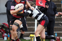 631098322_1637360523936814_3714309407859136215_n